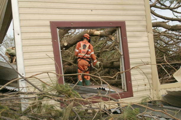 How Our Tree Care Process Works  in  Bridgeville, PA